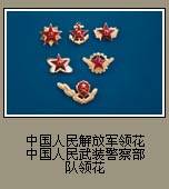 中国人民解放军领章 中国人民武装警察部队领章